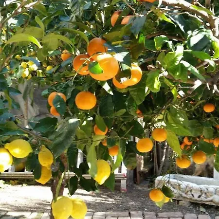 Guest house Adriatica - 4 Bedroom Vacation House